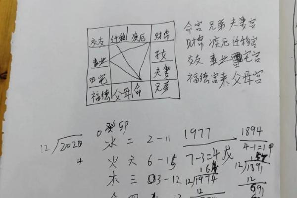 上海学紫薇斗数