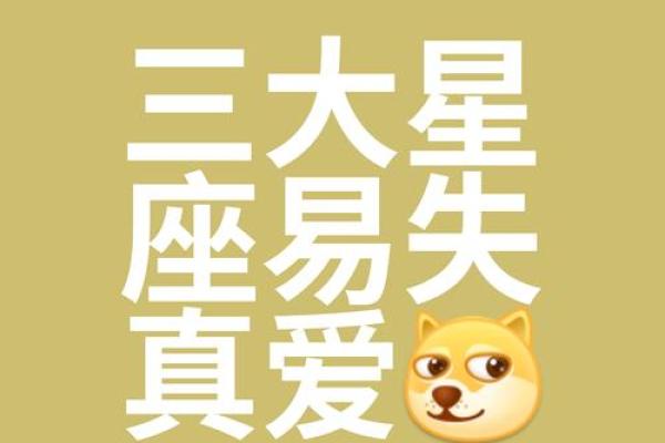 有固定的恋人，就偏不结婚的星座