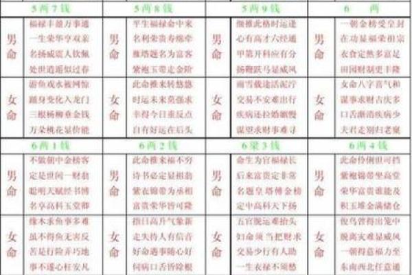 八字排盘免费算命程序