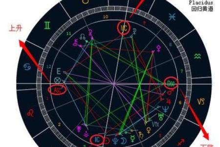 紫微斗数之田宅宫与诸星，巨门星在田宅宫是什么意思？