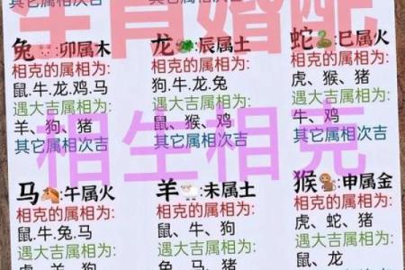 红豆与十二生肖配对看看你属于哪一种