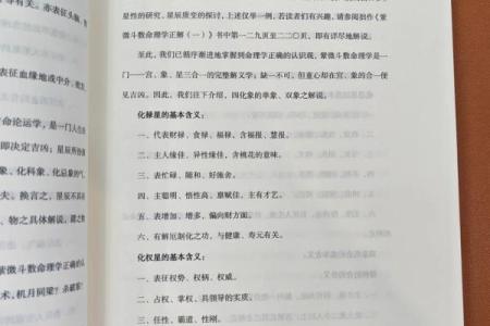 许铨仁紫薇斗数高级班笔记