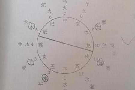 车牌号的风水讲究你知道吗？
