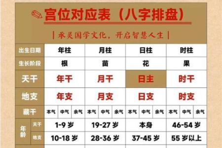 以残生生肖为中心，了解八字排盘的秘密