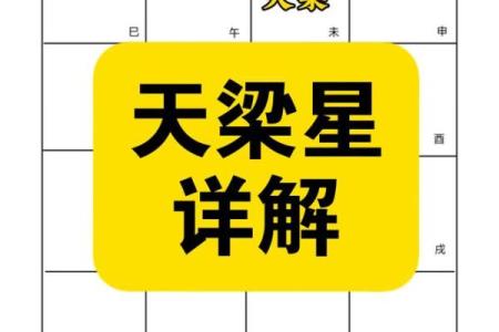 紫微斗数天梁化禄在哪个宫最好 天梁星化禄代表什么