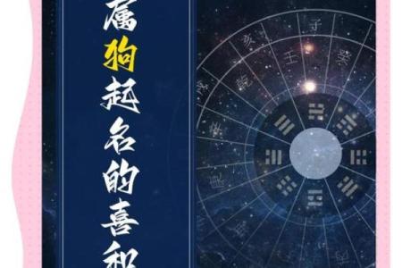 中午1点出生的属狗男孩如何取名，宜用什么字姓名