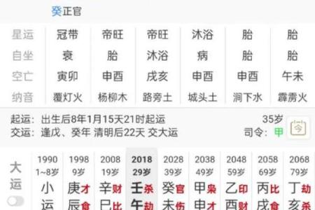 八字看什么