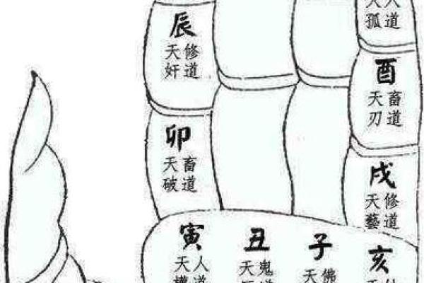 简单算命怎么算