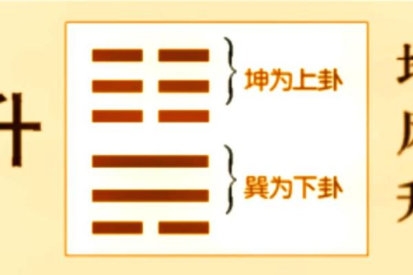 紫微斗数之八卦万物类象：震卦详解