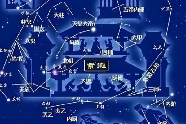 紫薇斗数盘图片