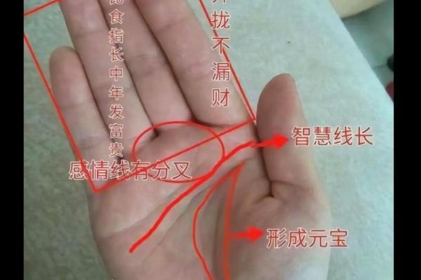 掌纹算命图解 通过手相看智慧