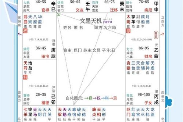 紫薇斗数看姻缘百度贴吧
