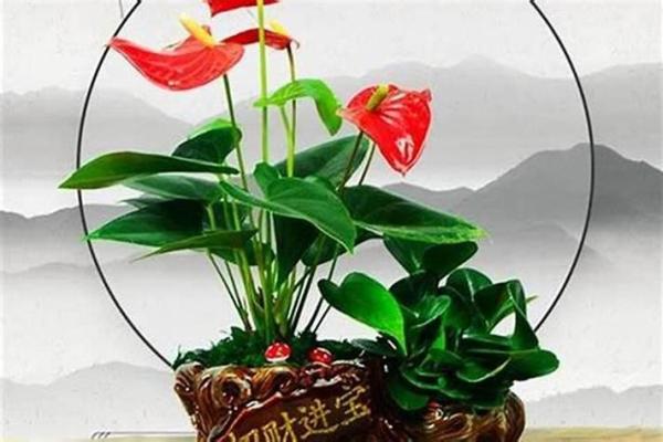 生肖马3个忌讳-1、身上不要戴观音 2、不要选择绿色的物品