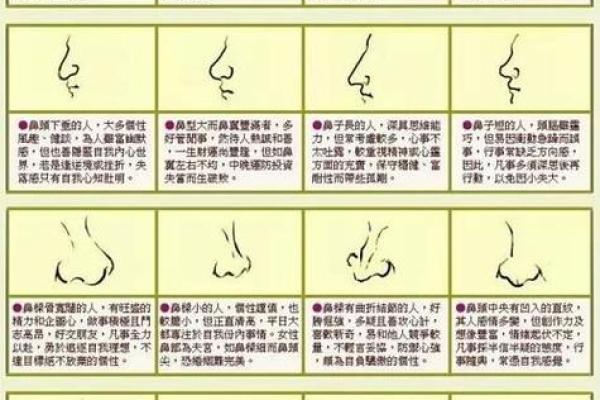 五官看面相算命图解男 男人五官面相大全