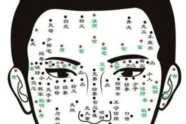 五官看面相算命图解男 男人五官面相大全