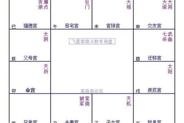 夫妻宫没有紫薇斗数