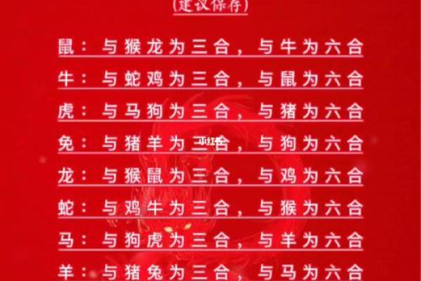 1981年属什么生肖配对