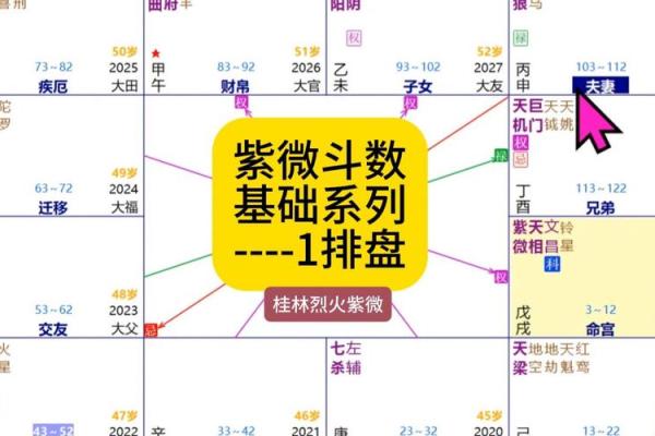 z紫薇斗数排盘