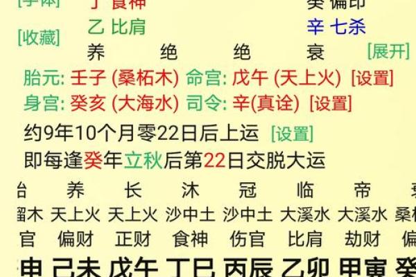 八字-论丁巳日甲辰时