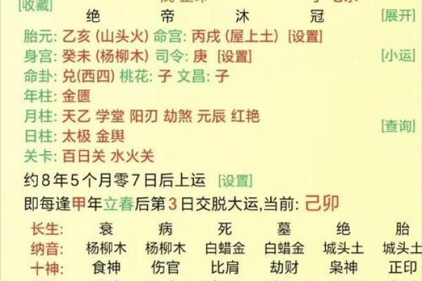 八字-论丁巳日甲辰时