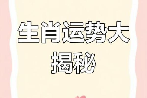 十二生肖：本命方位干净整洁，好运连连