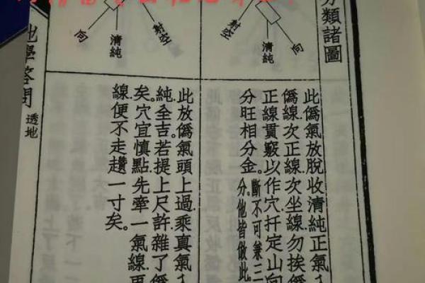龙的风水_民间说年景有几龙治水