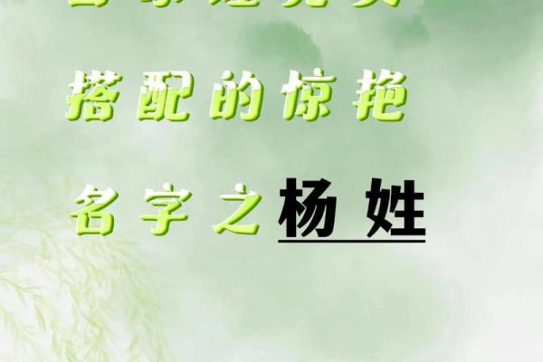 杨姓男孩名字大全-杨姓男孩起名字大全-杨姓名字大全姓名