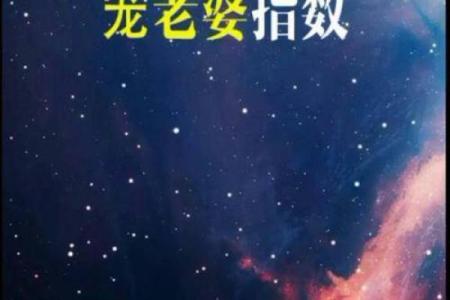 最专一最宠老婆的星座
