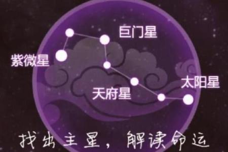 紫微斗数之疾厄宫与诸星，巨门星在疾病宫是什么意思？