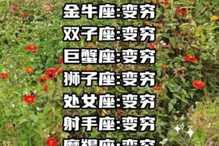 十二星座假如有1000万会怎么样
