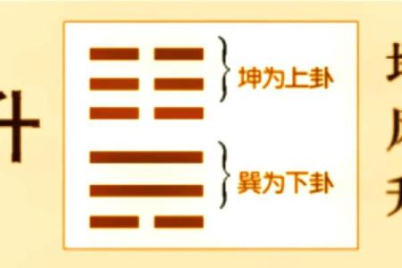 紫微斗数之八卦万物类象：震卦详解