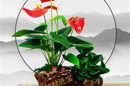 生肖马3个忌讳-1、身上不要戴观音 2、不要选择绿色的物品