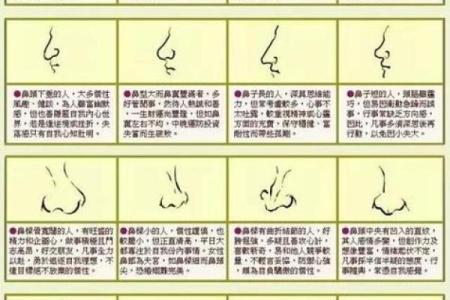 五官看面相算命图解男 男人五官面相大全