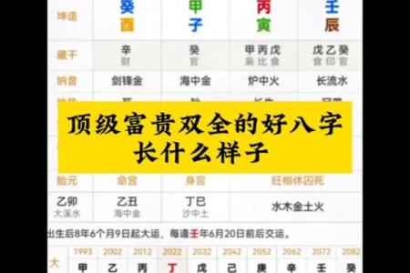 八字权威