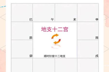 【紫微斗数】排盘技巧038：紫微斗数的未来发展