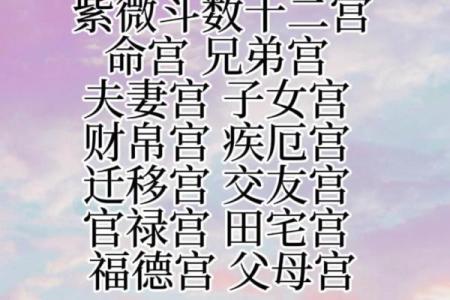 紫微斗数容易还是八字容易 紫微斗数比八字准？