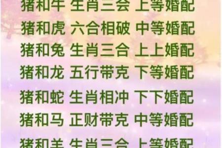 兔鼠生肖配对姻缘 兔与鼠的婚姻相配吗