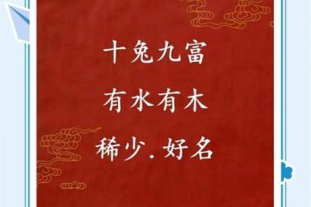 半夜出生属兔的男孩应该怎么样去名字呢姓名