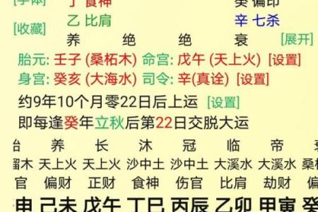 八字-论丁巳日甲辰时