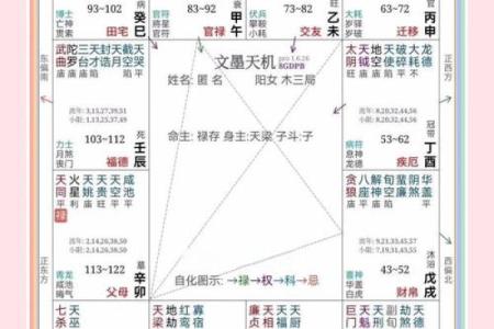 紫薇斗数看旺夫