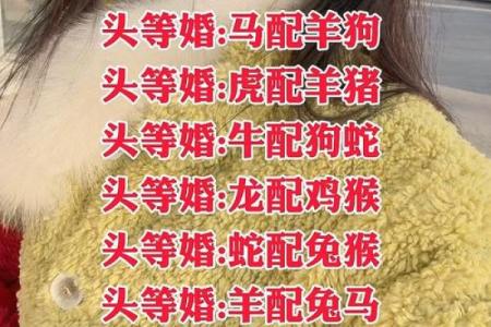 最准的12生肖配对表