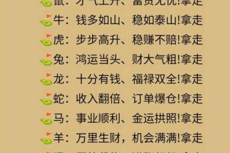 十二生肖：本命方位干净整洁，好运连连
