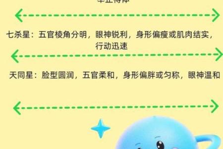 紫薇斗数空劫星