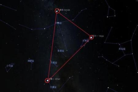 牛郎星位于什么星座  牛郎星位于什么星座上