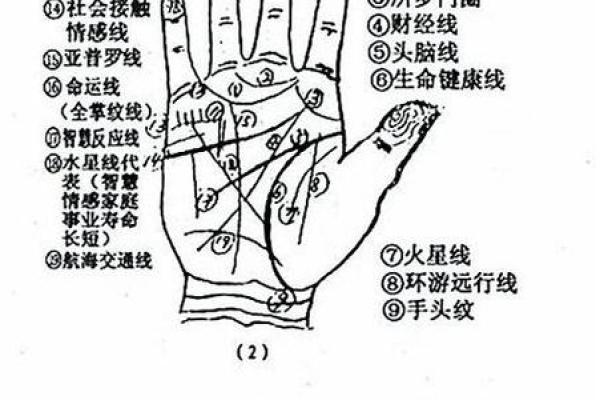 怎么看手相算命，怎么看手相算命图解