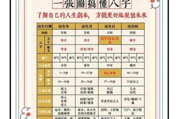 怎么看自己八字属于什么命