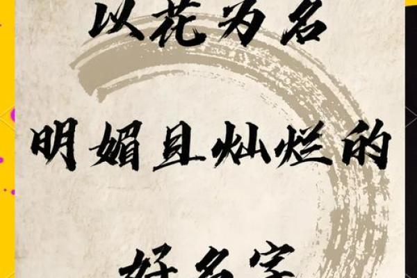 花姓男孩名字大全-花姓男孩起名字大全-花姓名字大全姓名