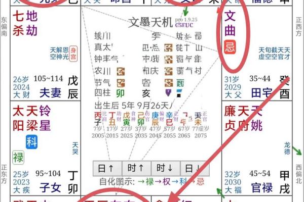 紫薇斗数飞星排盘
