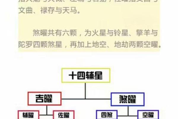 紫薇斗数全部星宿