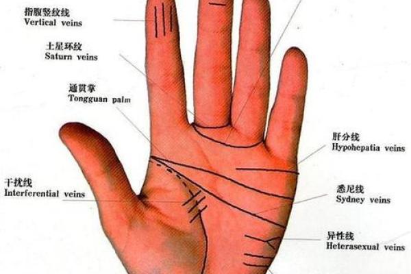 川字纹手相算命图解